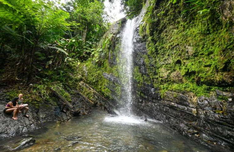 puerto rico el yunque
